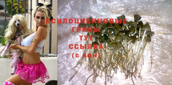 спайс Алзамай