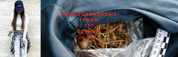 ECSTASY Алексеевка