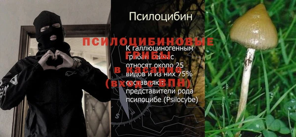 спайс Алзамай
