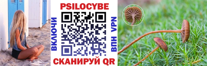 Галлюциногенные грибы прущие грибы  Бабаево 